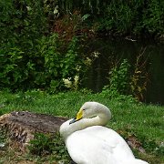 DSC07190