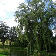 DSC07191