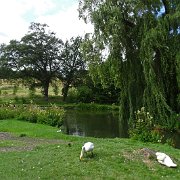 DSC07192