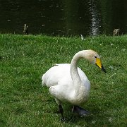 DSC07193