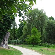 DSC07194