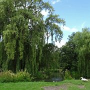 DSC07195