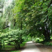 DSC07197