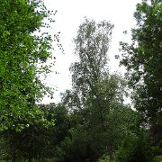 DSC07198