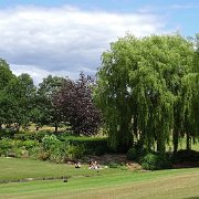 DSC07201