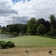 DSC07208