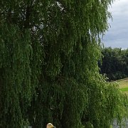 DSC07211