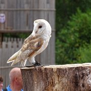 DSC07219
