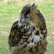 DSC07290