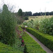 DSC07333