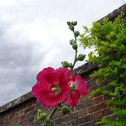 DSC07343