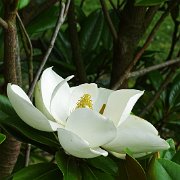 DSC07355