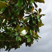 DSC07356