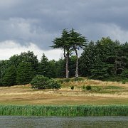 DSC07370