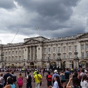 DSC07503