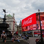DSC07550