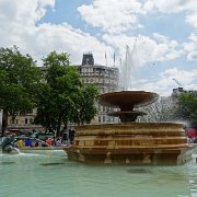 DSC07571