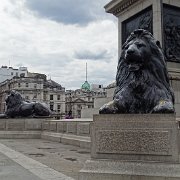 DSC07578