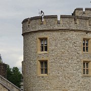 DSC07685
