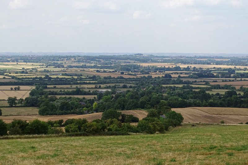 DSC07804
