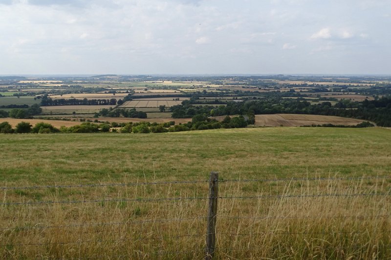 DSC07805