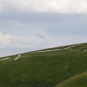 DSC07807