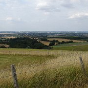 DSC07808