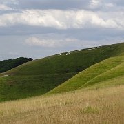 DSC07809