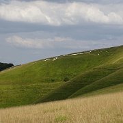 DSC07810
