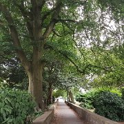 20180720_201037