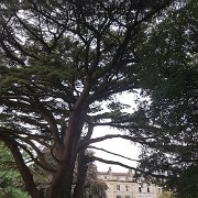20180720_201345