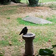 20180720_201848