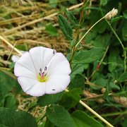 DSC07840