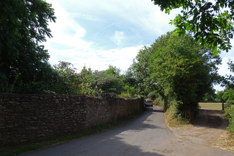 DSC08115