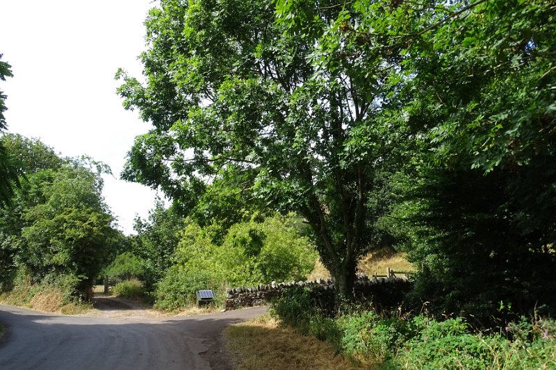 DSC08117