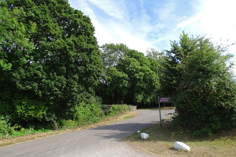 DSC08126