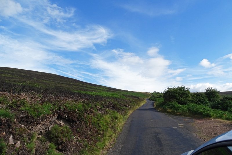 DSC08186