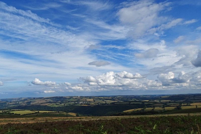 DSC08200