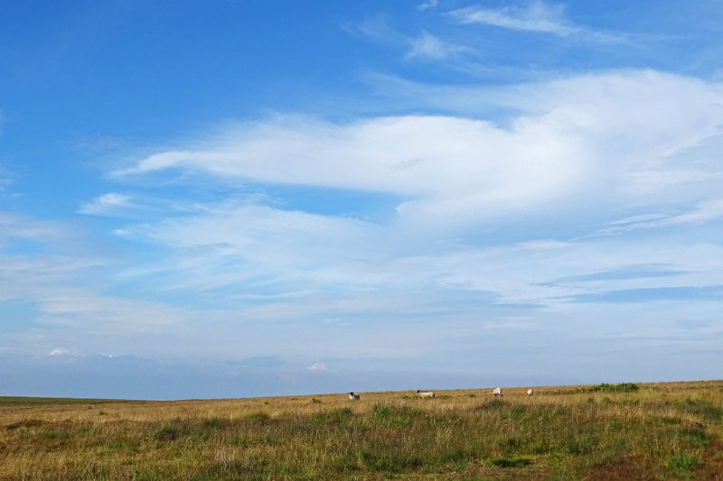 DSC08210