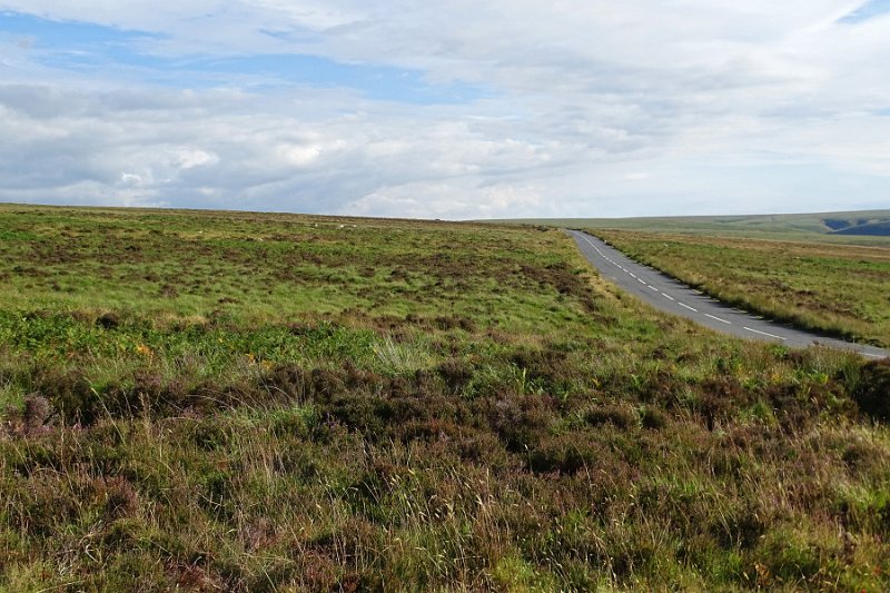 DSC08222