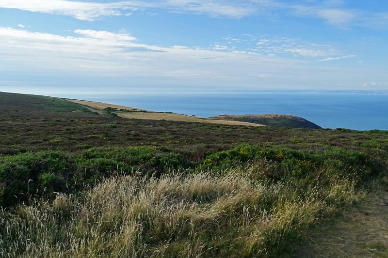 DSC08233