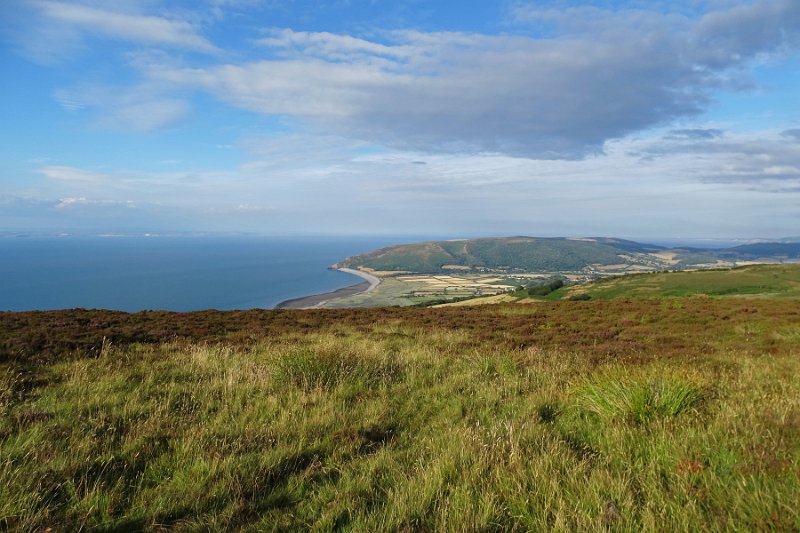 DSC08261