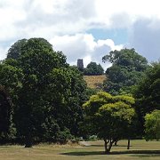 DSC07993
