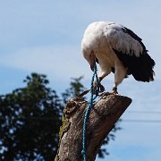 DSC08059