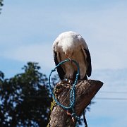 DSC08060