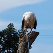 DSC08065