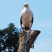 DSC08067