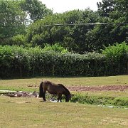 DSC08085