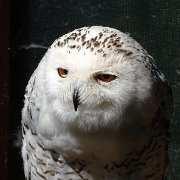 DSC08095