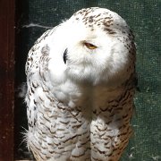 DSC08096